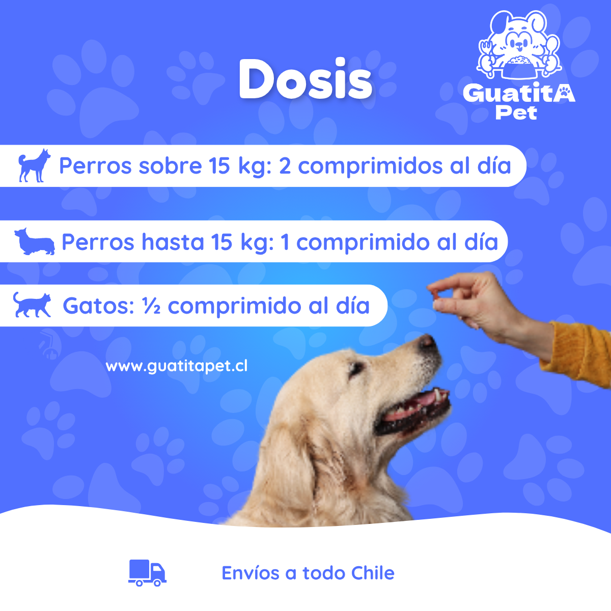 Silimarina Vitanimal 30 Comprimidos | Suplemento Hepático Perros y Gatos