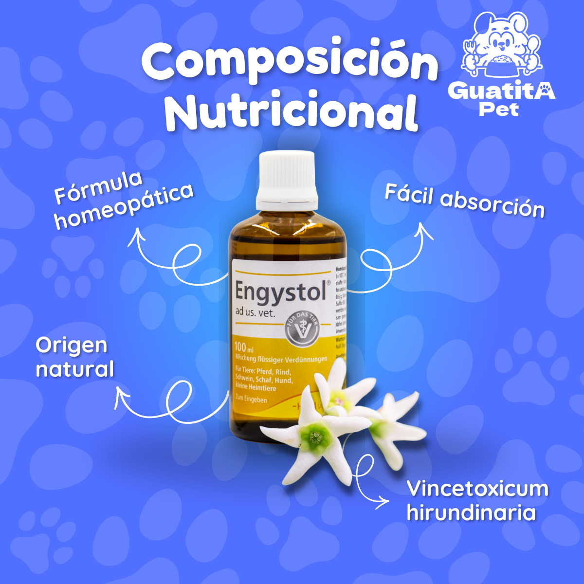 Engystol Gotas 100 ml | Fortalecedor Inmune Perros y Gatos