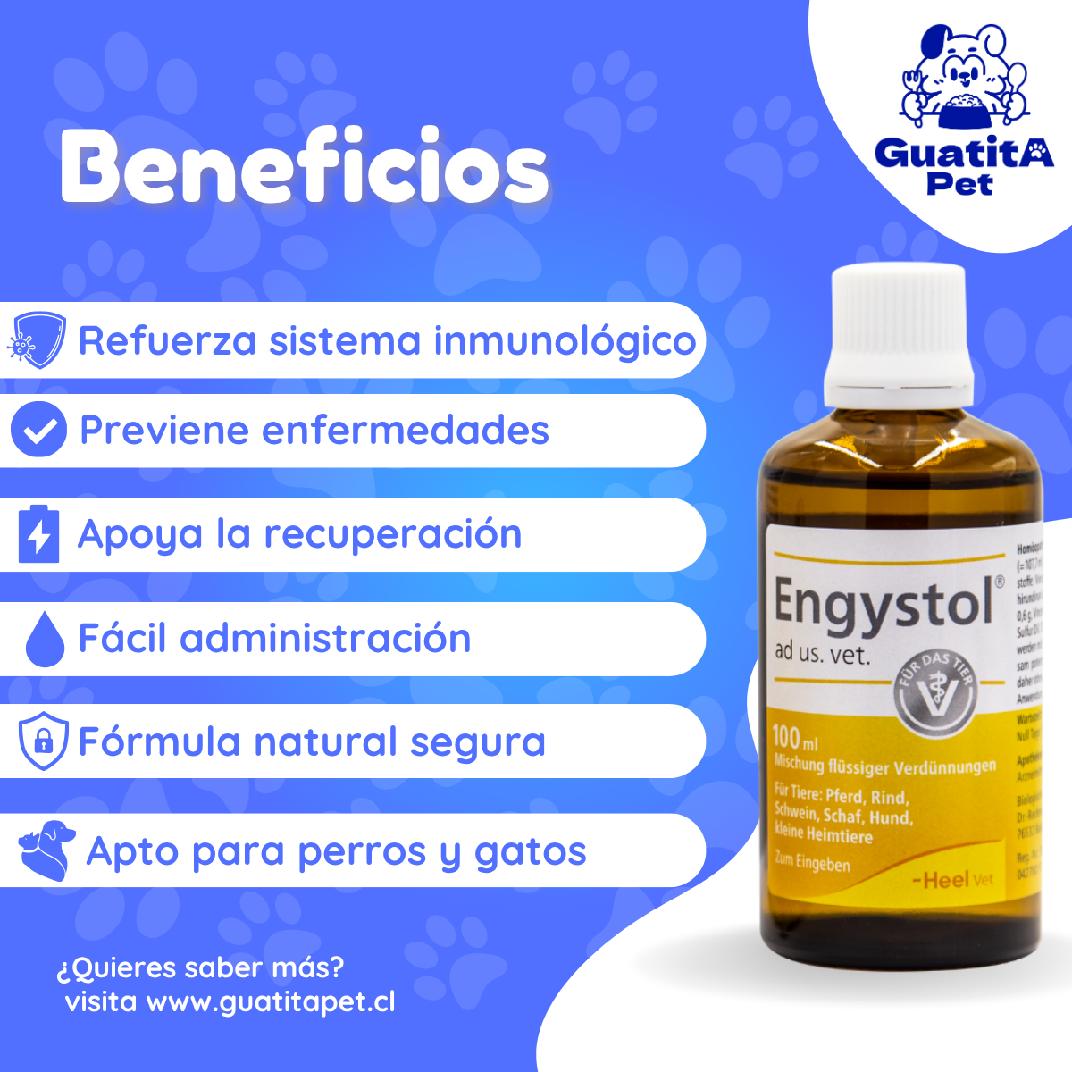Engystol Gotas 100 ml | Fortalecedor Inmune Perros y Gatos
