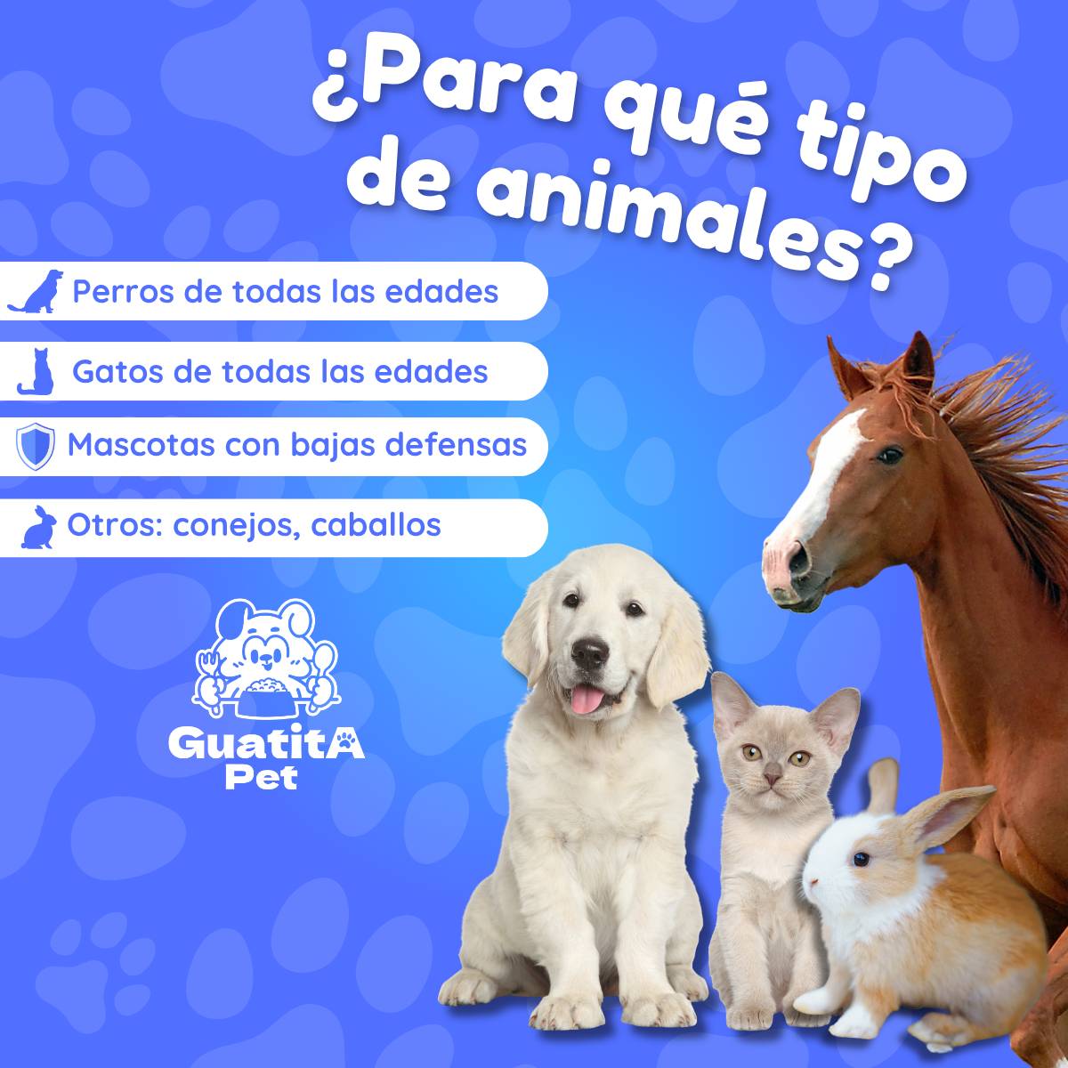 Engystol 100 Tabletas | Fortalecedor Inmune Perros Y Gatos