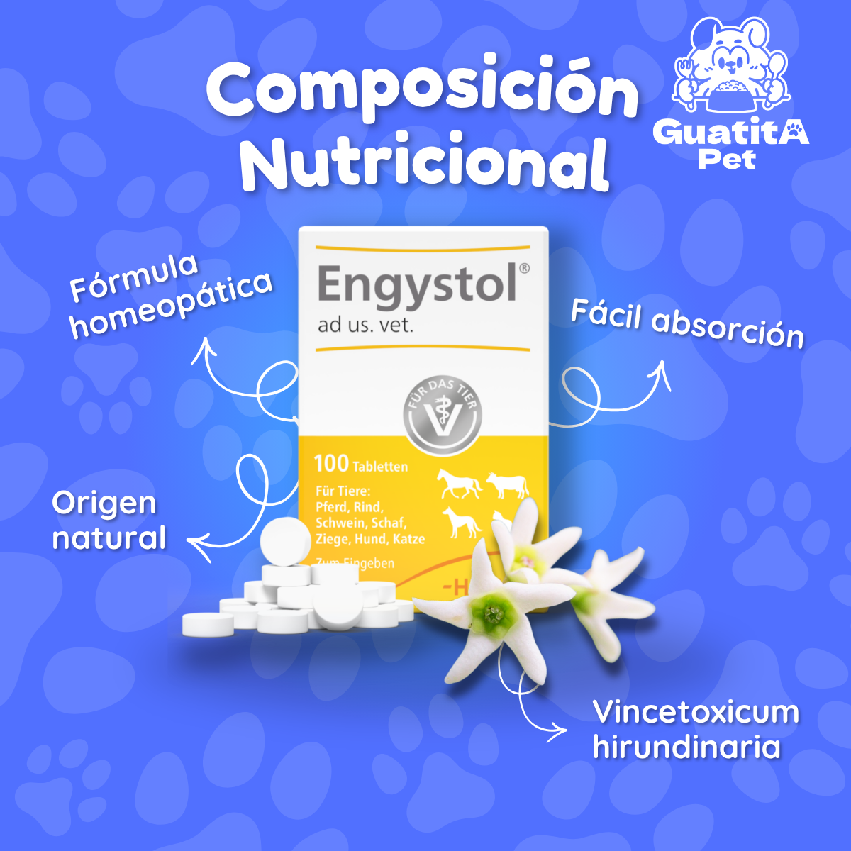 Engystol 100 Tabletas | Fortalecedor Inmune Perros Y Gatos