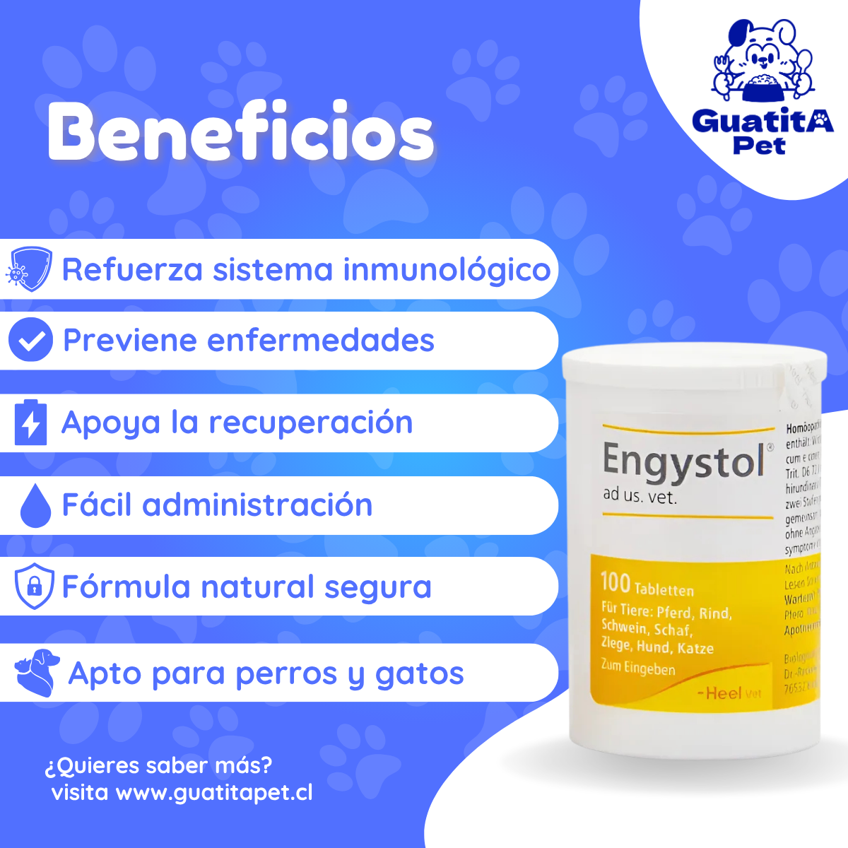 Engystol 100 Tabletas | Fortalecedor Inmune Perros Y Gatos