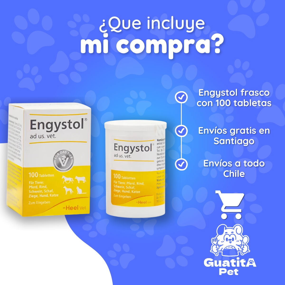 Engystol 100 Tabletas | Fortalecedor Inmune Perros Y Gatos
