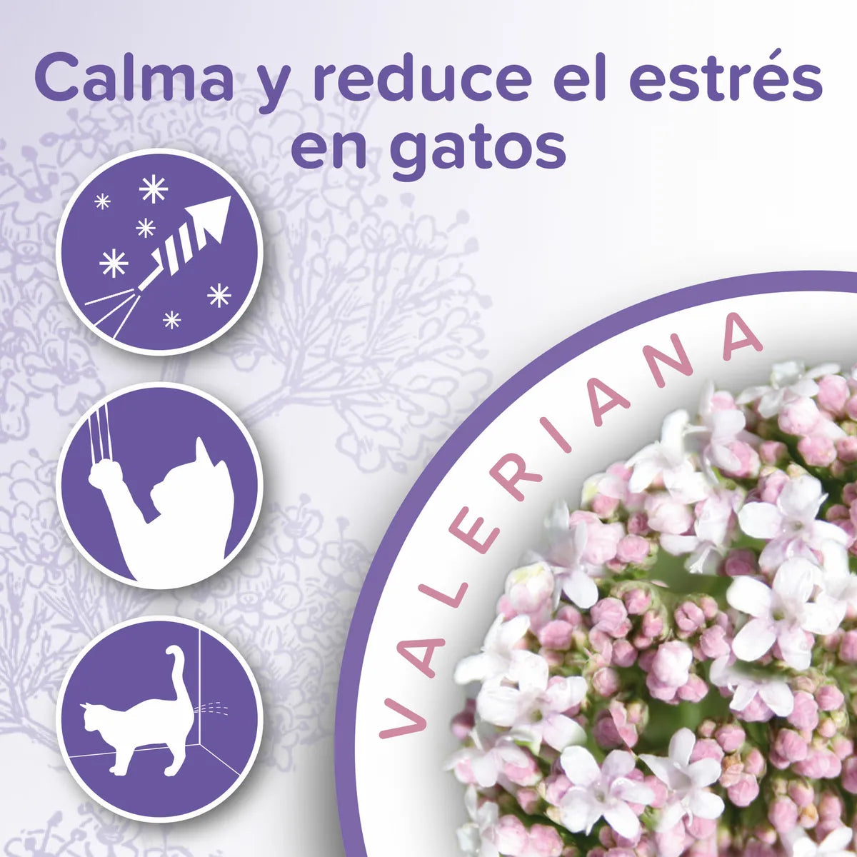 Calming Collar Beaphar 35 Cm Para Gatos | Reducción Estrés y Ansiedad