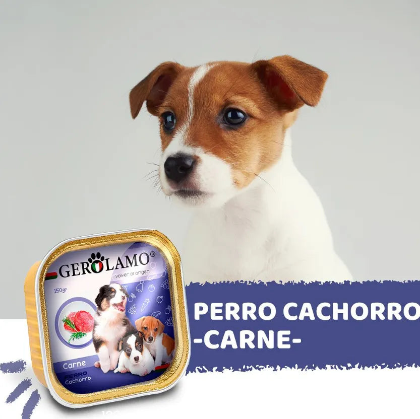 Paté Gerolamo Sabor Carne para Cachorros 300 gr