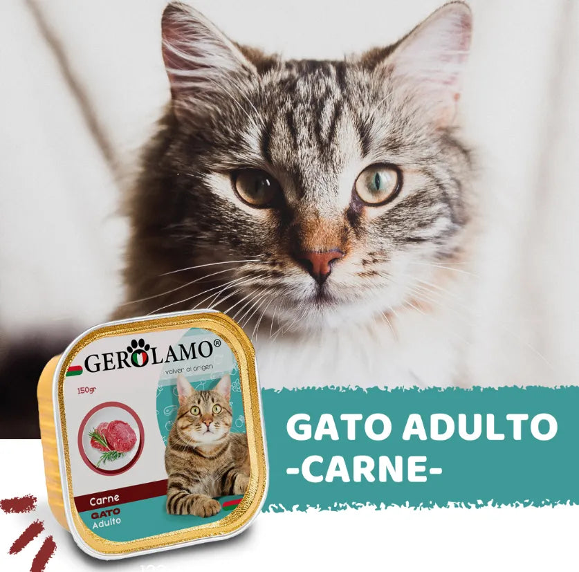 Paté Gerolamo Gato Adulto Sabor Carne 300 gr