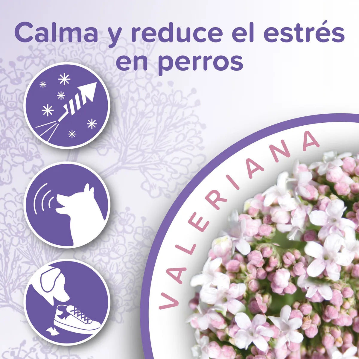 Calming Collar Beaphar 65 Cm Para Perros | Reducción Estrés y Ansiedad
