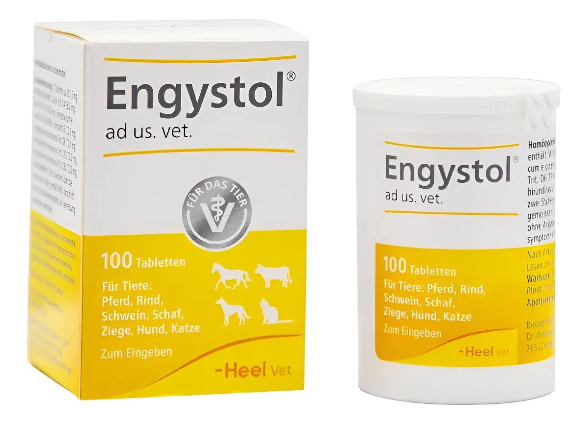 Engystol 100 Tabletas | Fortalecedor Inmune Perros Y Gatos