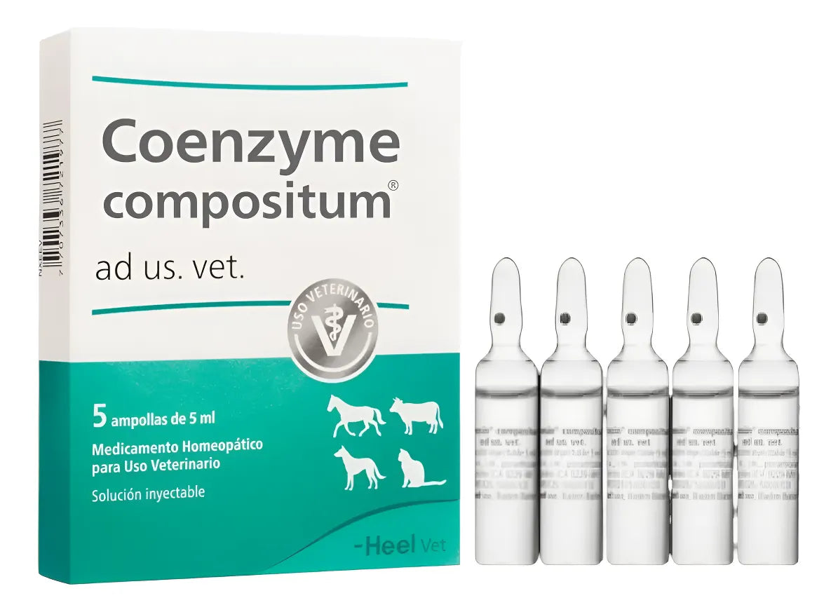 Coenzyme 5 Ampollas | Energía Y Recuperación Mascotas Perros Y Gatos