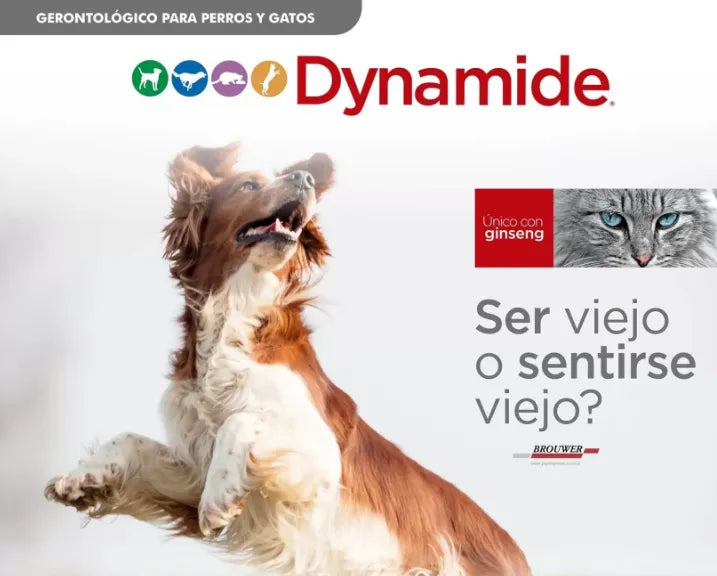Dynamide 30 Comprimidos Suplemento Articular Perros y Gatos Mayores