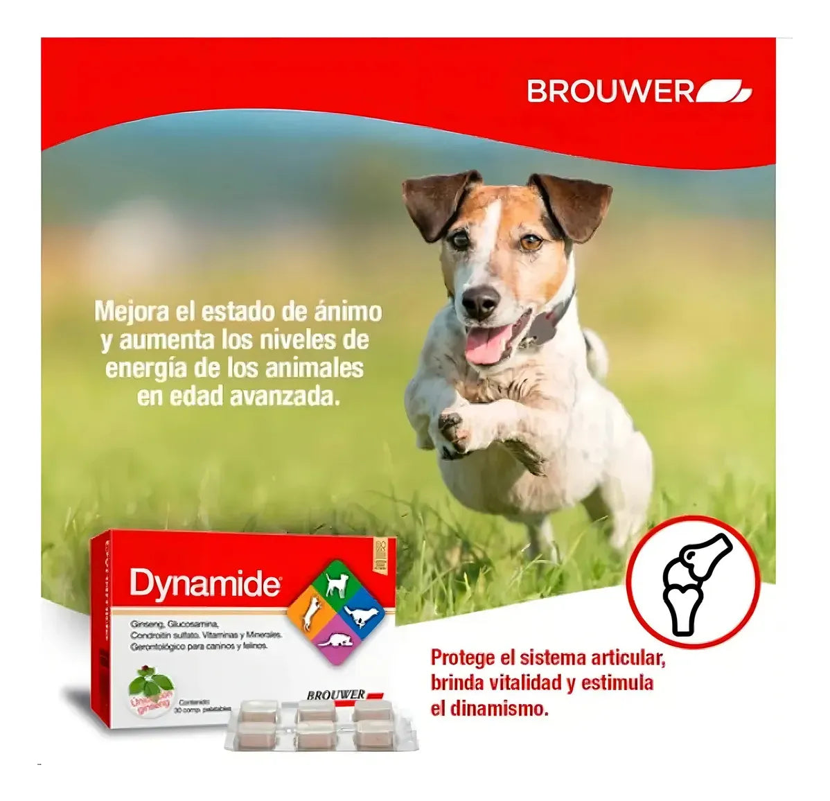 Dynamide 30 Comprimidos Suplemento Articular Perros y Gatos Mayores