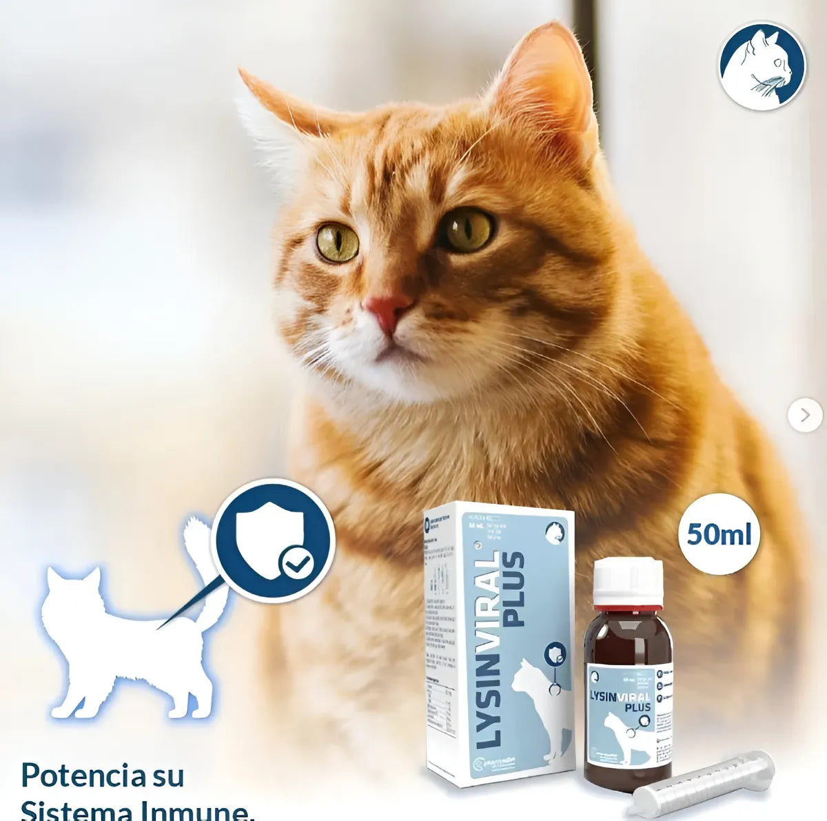 Lysinviral Plus Gatos 50 ml | Suplemento Fortalece Sistema Inmune