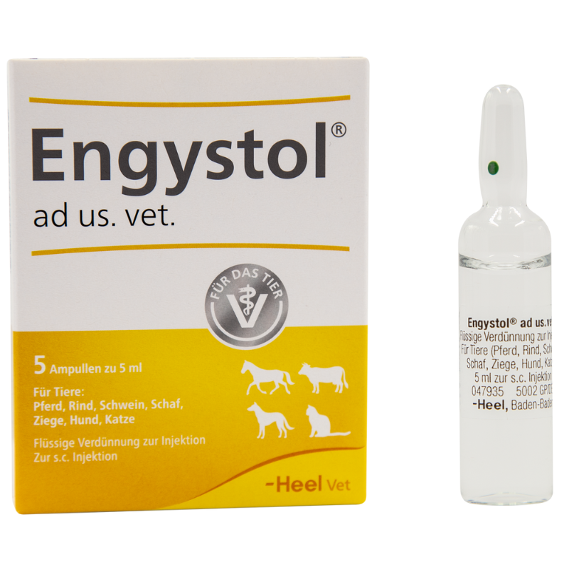 Engystol 5 Ampollas 5 ml | Fortalecedor Inmune Perros y Gatos
