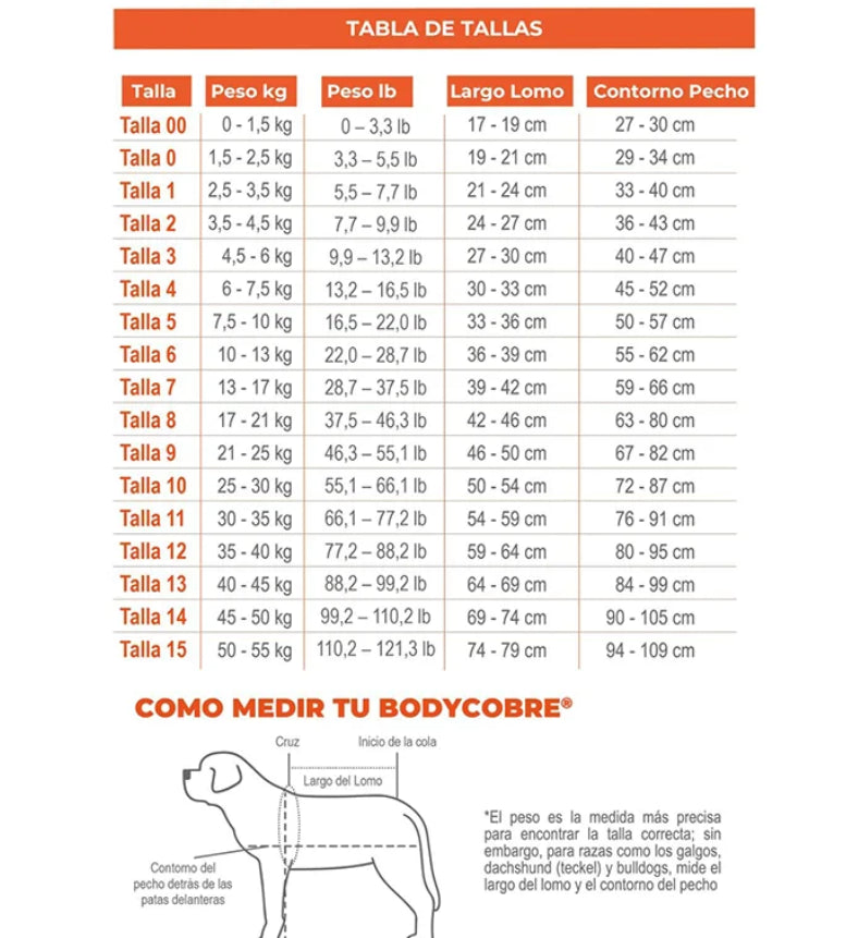 Body Cobre Castración Postoperatorio Perros Machos