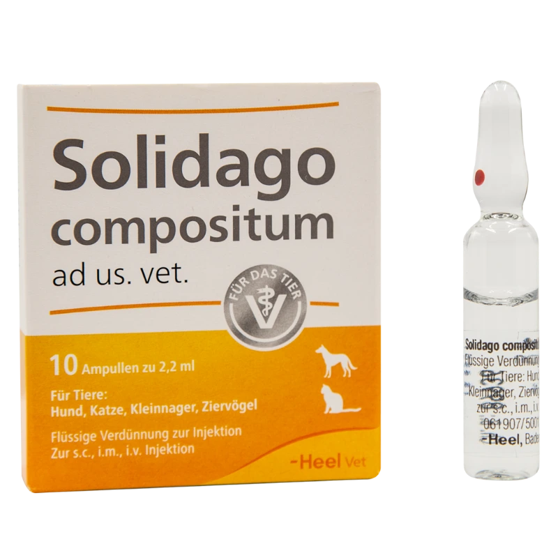 Solidago Compositum 10 Ampollas 2.2 ml Perros y Gatos