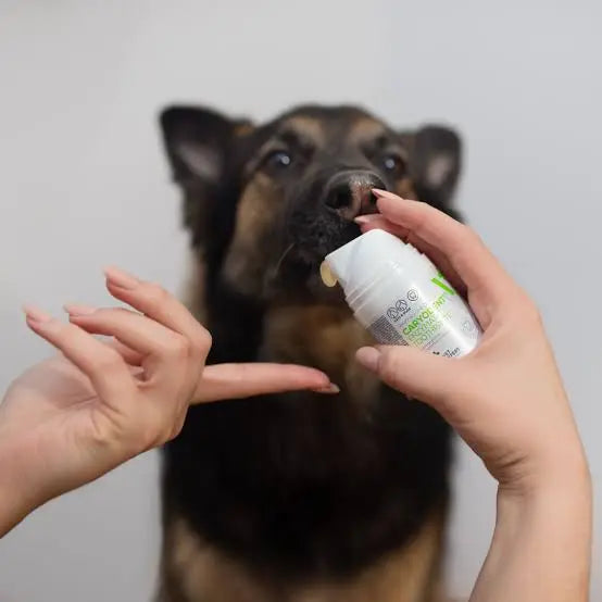 Vet Expert Caryodent Enzymatic Toothpaste 50 ml Pasta Perros y Gatos