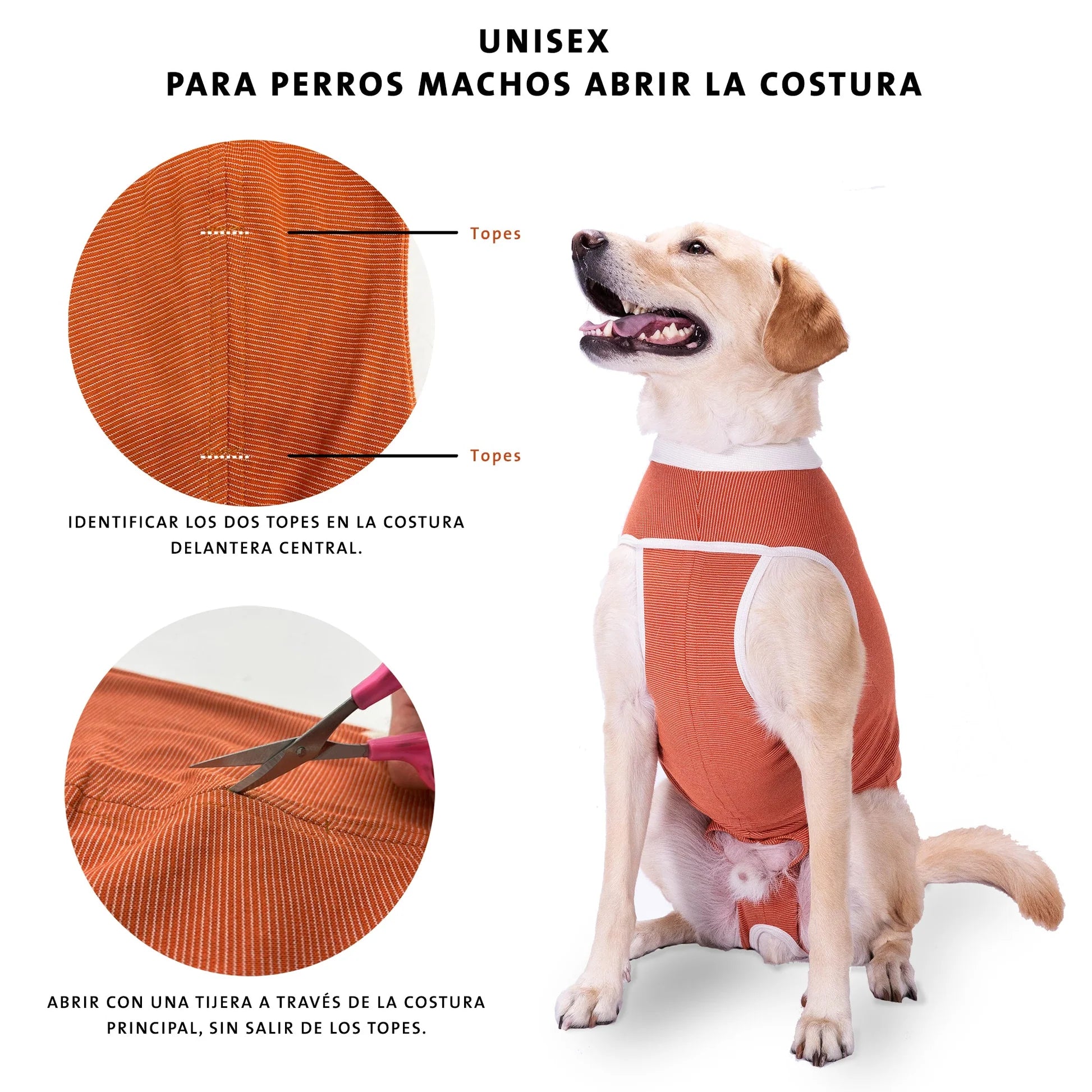 Body Cobre Castración Postoperatorio Perros Machos