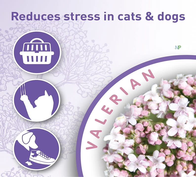 Calmante en Spray Beaphar 125 ml para Perros y Gatos