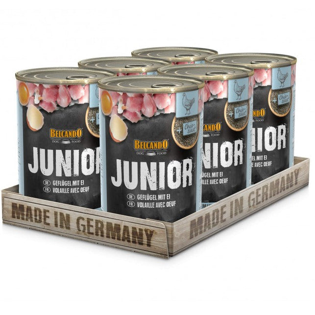 Pack 6 Latas Belcando Junior Ave y Huevo 800 gr | Alimento Húmedo Premium Cachorros