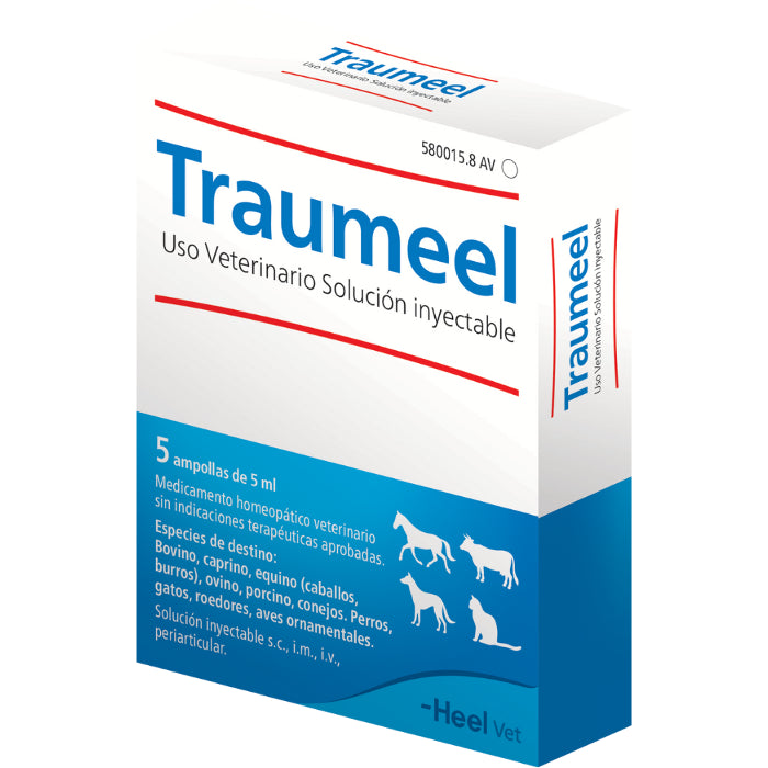 Traumeel Ampollas 5 ml 5 Unidades Uso Veterinario
