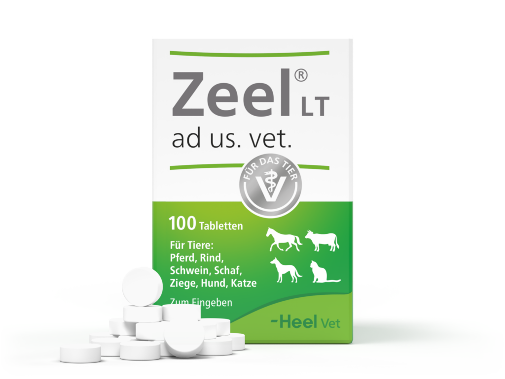 Zeel Veterinario 100 Tabletas | Dolor Articular Movilidad Perros Y Gatos